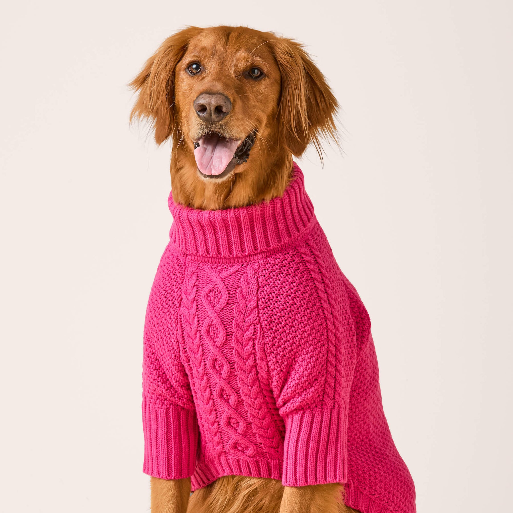 Foggy Dog - Dog Sweater Hot Pink - Southern Agriculture 