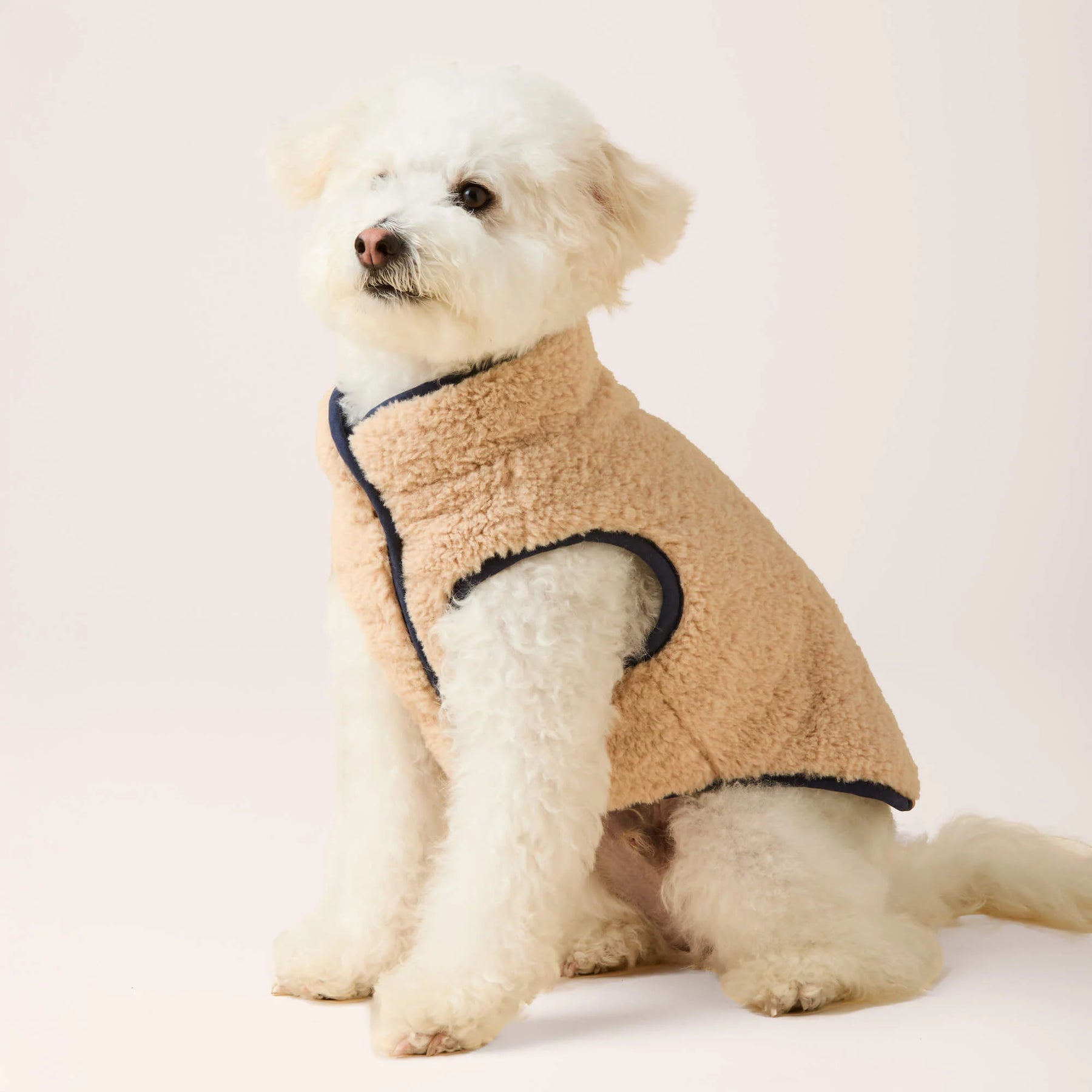 Foggy Dog - Dog Jacket Navy Sherpa-Lined Reversible - Southern Agriculture 
