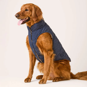 Foggy Dog - Dog Jacket Navy Sherpa-Lined Reversible - Southern Agriculture 