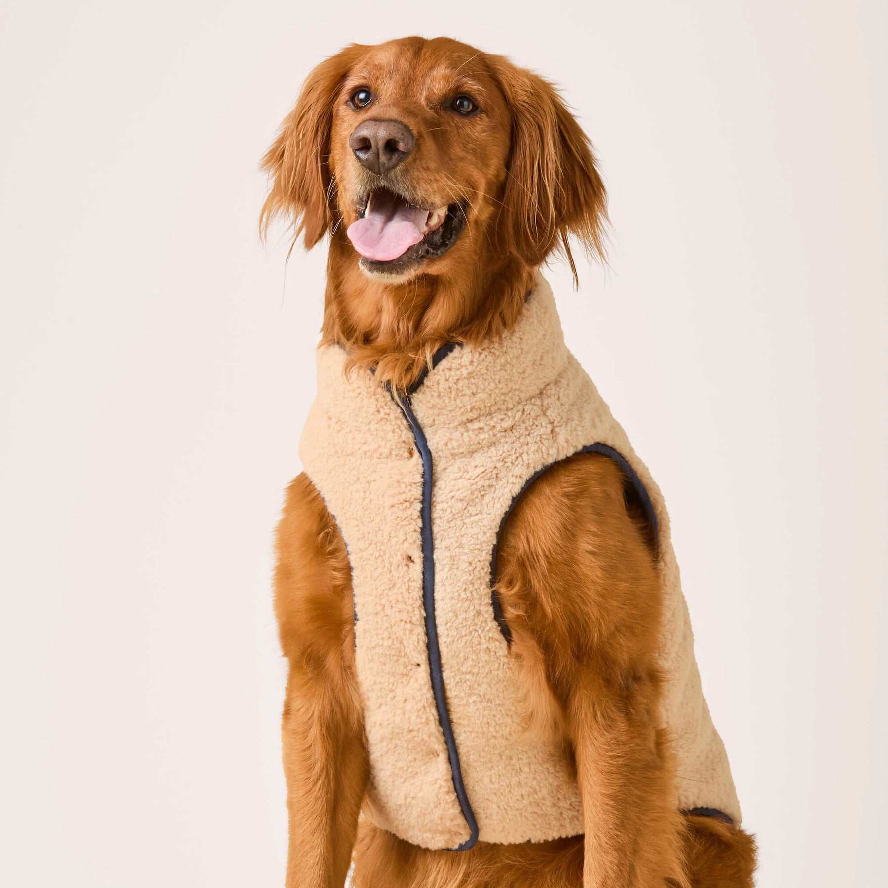 Foggy Dog - Dog Jacket Navy Sherpa-Lined Reversible - Southern Agriculture 