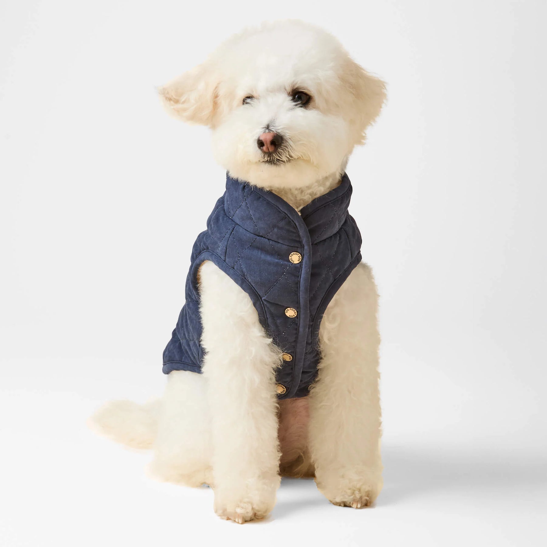 Foggy Dog - Dog Jacket Navy Sherpa-Lined Reversible - Southern Agriculture 