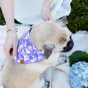 Bandana Dog Pressed Pansies