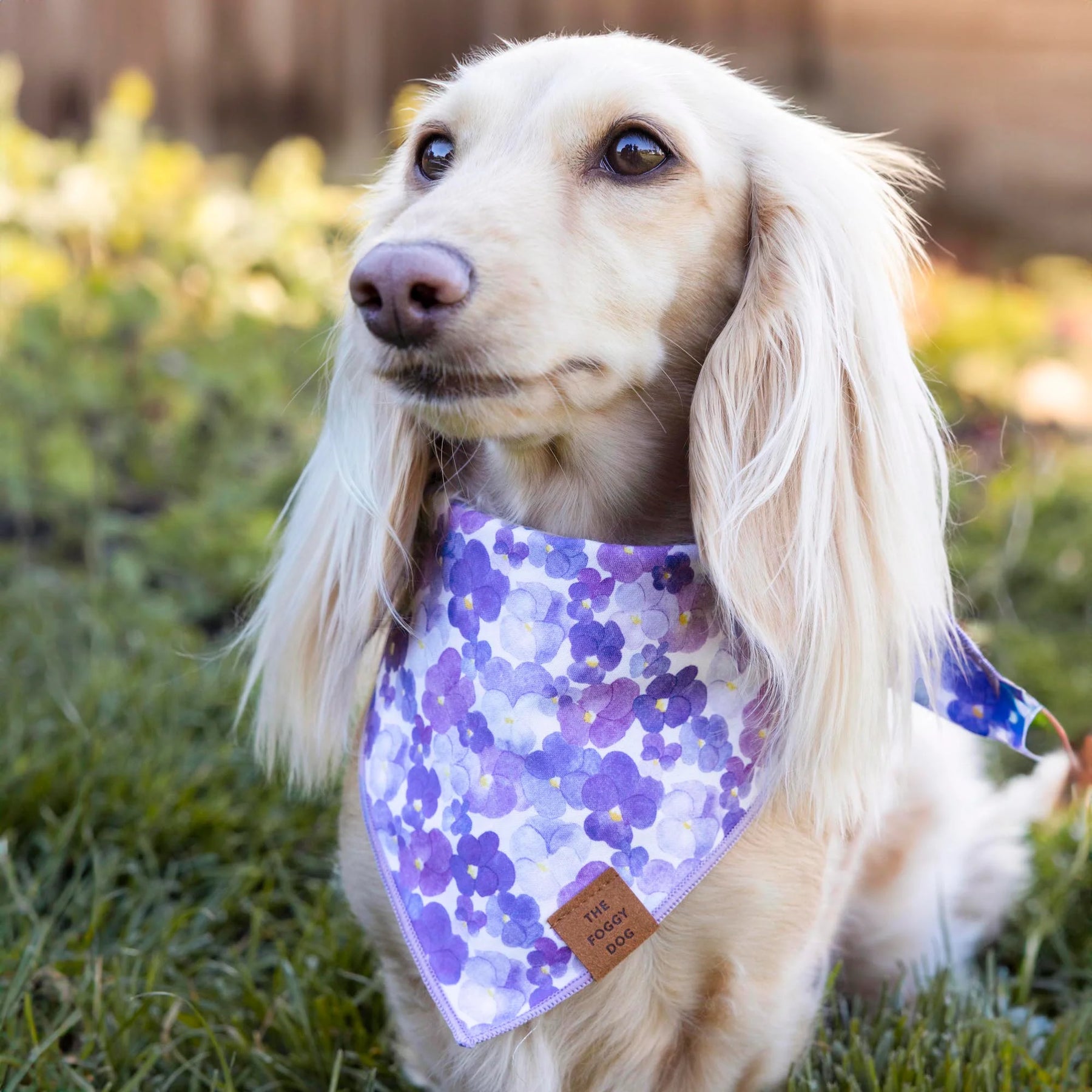 Bandana Dog Pressed Pansies