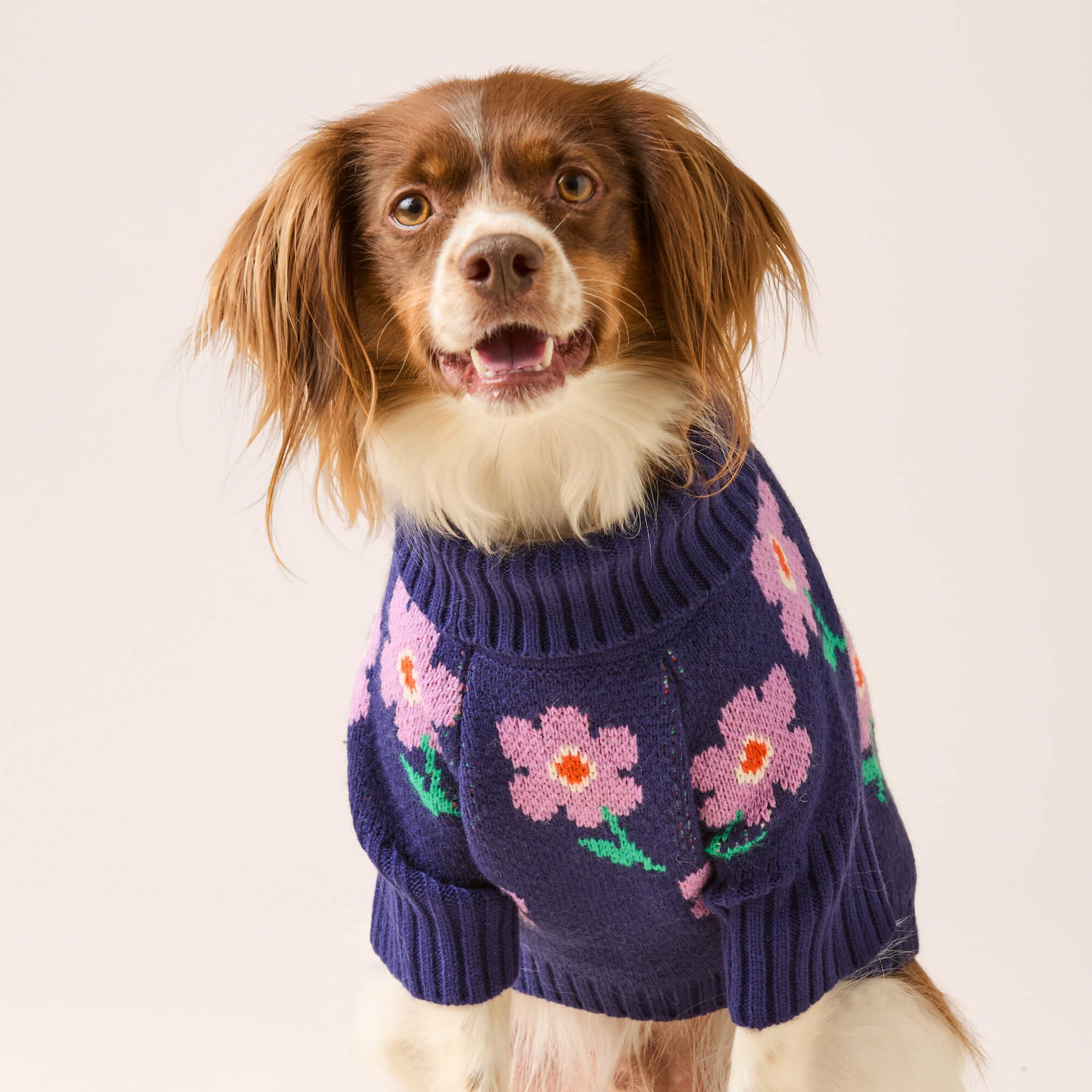 Foggy Dog - Dog Sweater Purple Posies - Southern Agriculture 
