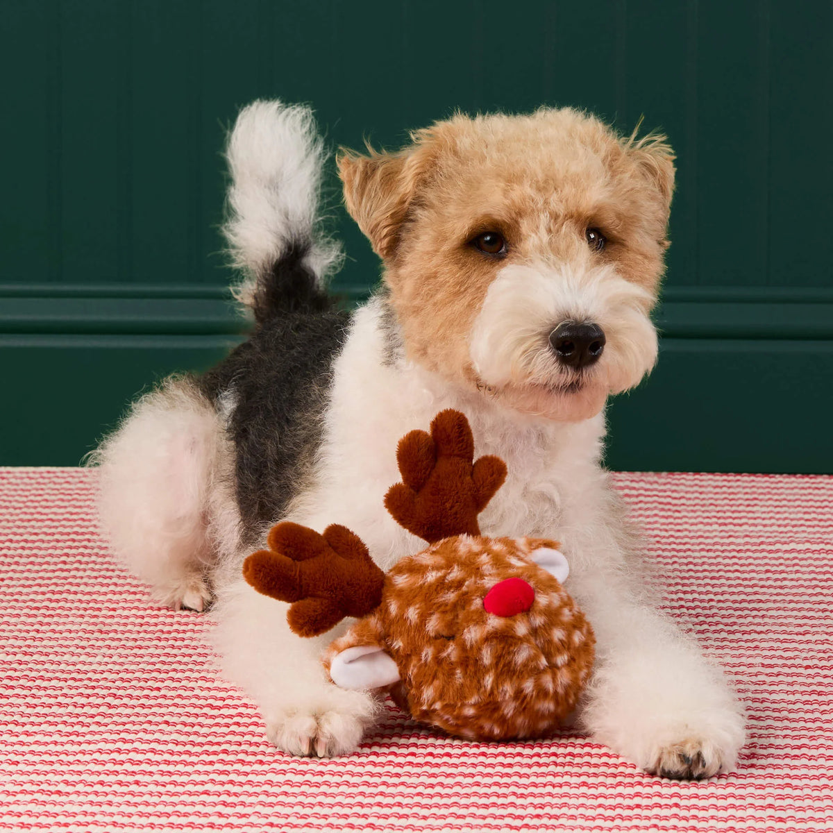 Doy Toy Bounce Reindeer