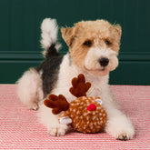 Doy Toy Bounce Reindeer