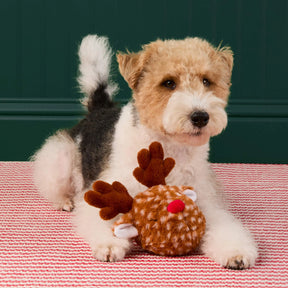 Doy Toy Bounce Reindeer