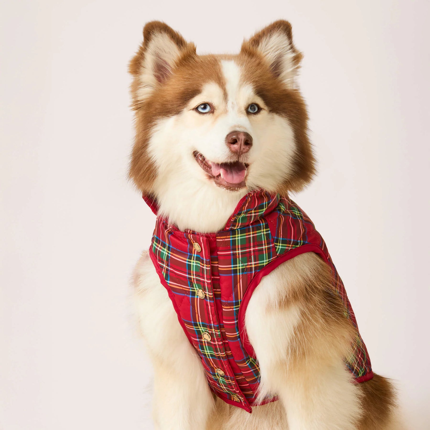 Dog Jacket Reversible Tartan - Southern Agriculture 