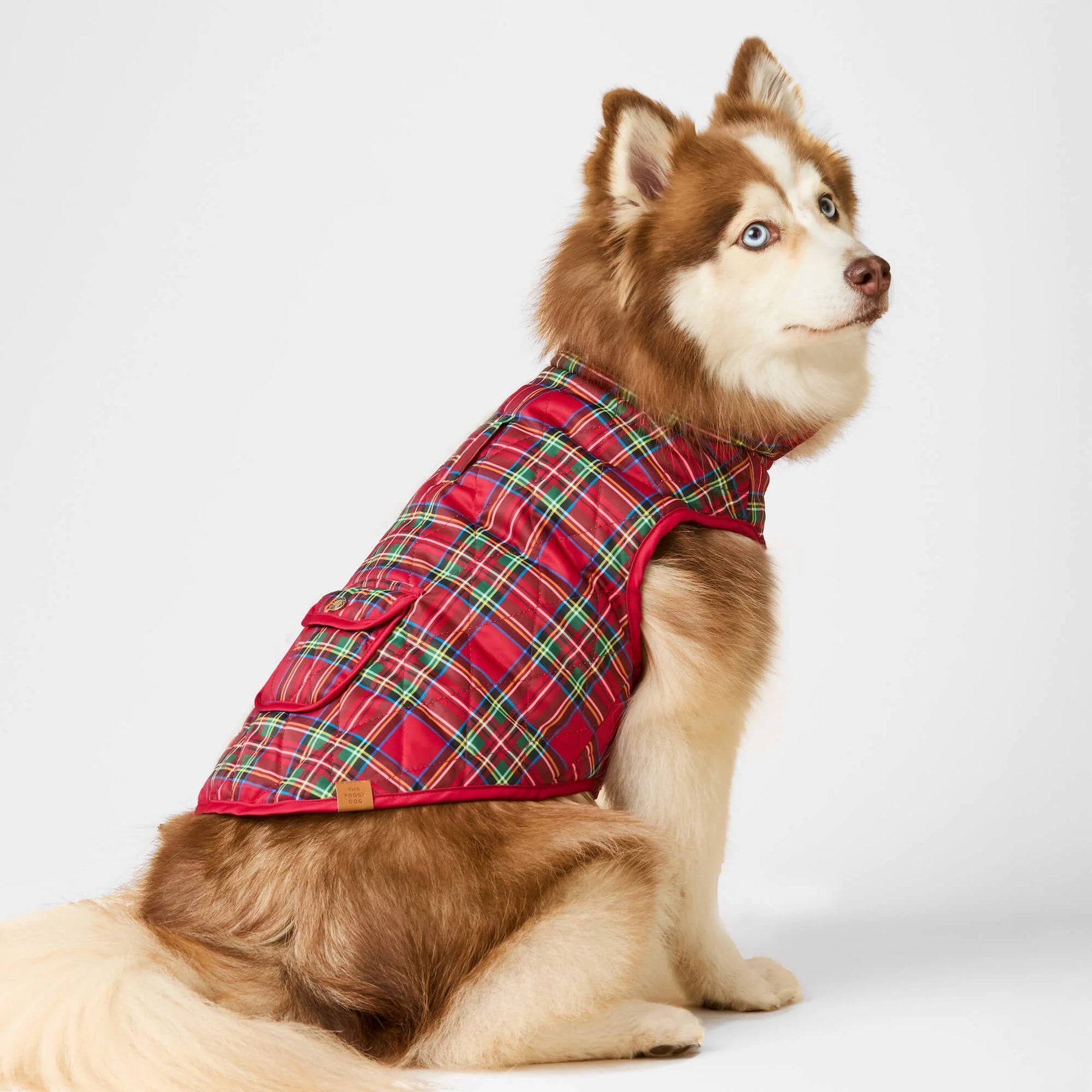 Dog Jacket Reversible Tartan - Southern Agriculture 