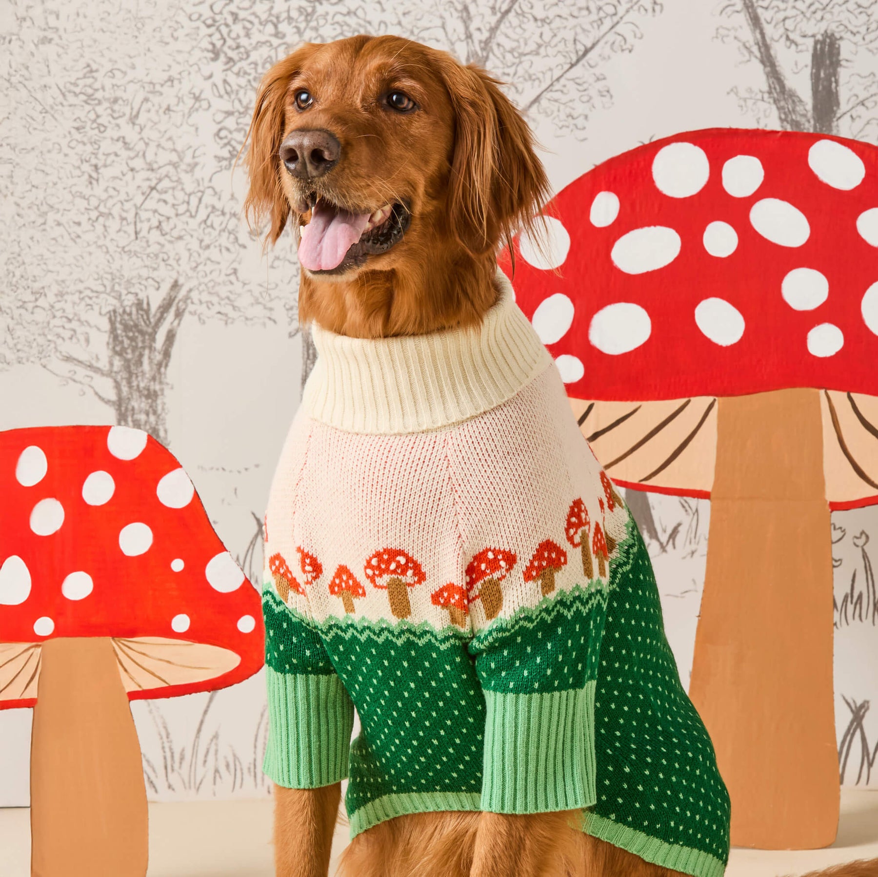 Foggy Dog - Dog Sweater Toadstool - Southern Agriculture 