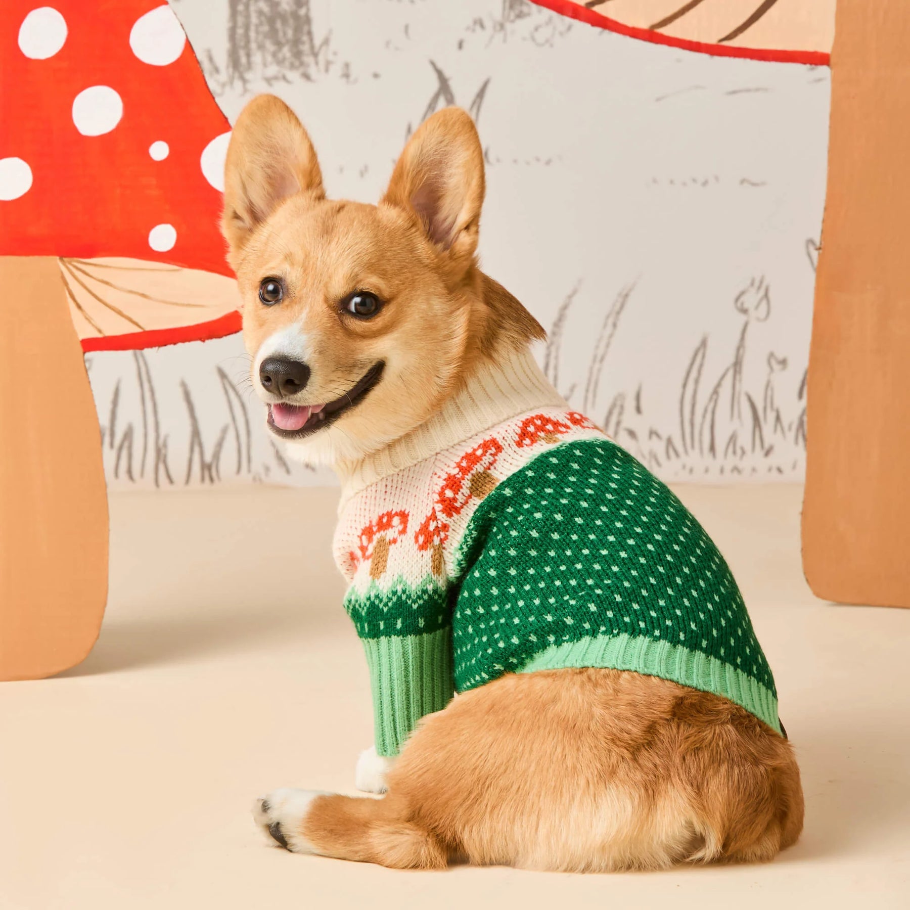 Foggy Dog - Dog Sweater Toadstool - Southern Agriculture 