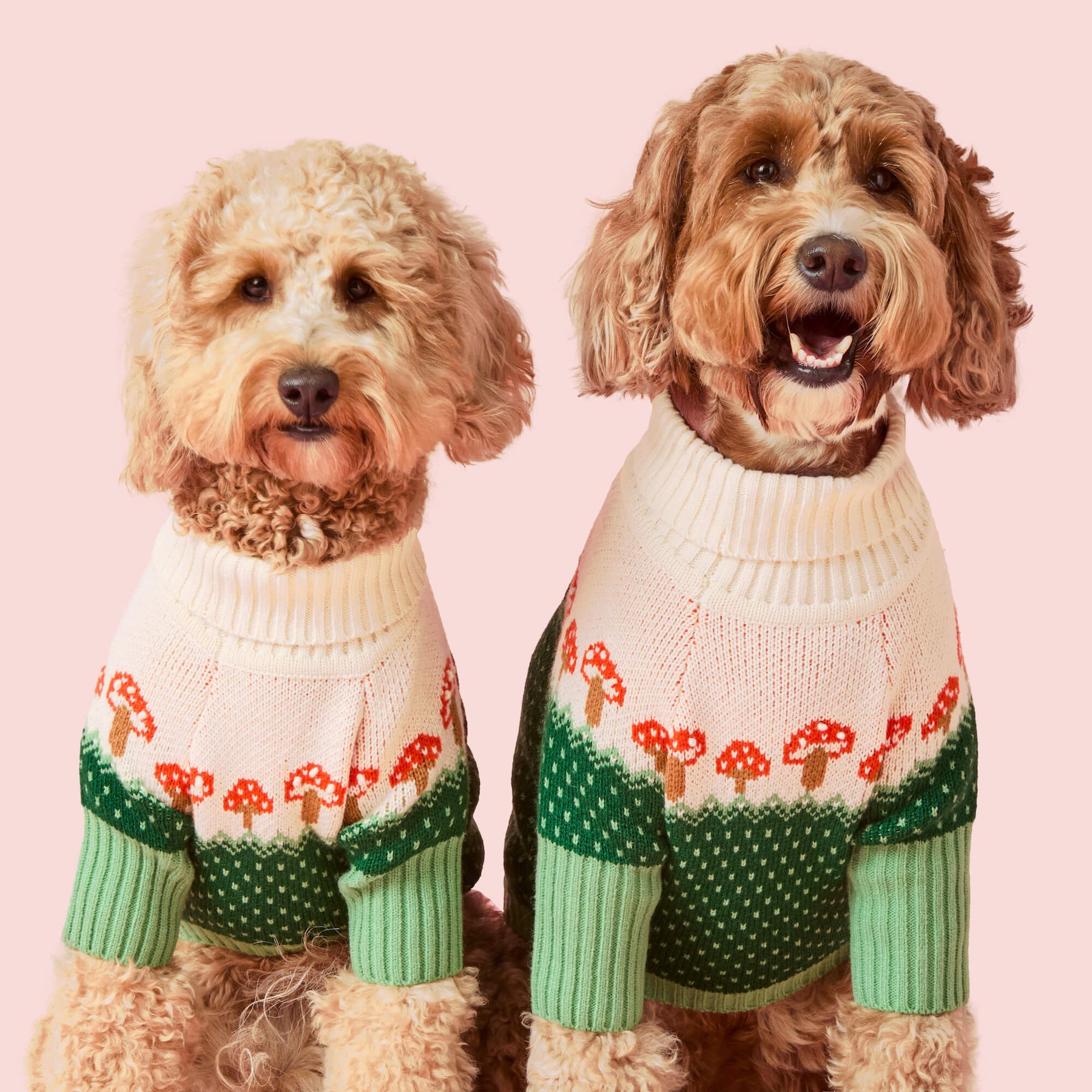 Foggy Dog - Dog Sweater Toadstool - Southern Agriculture 