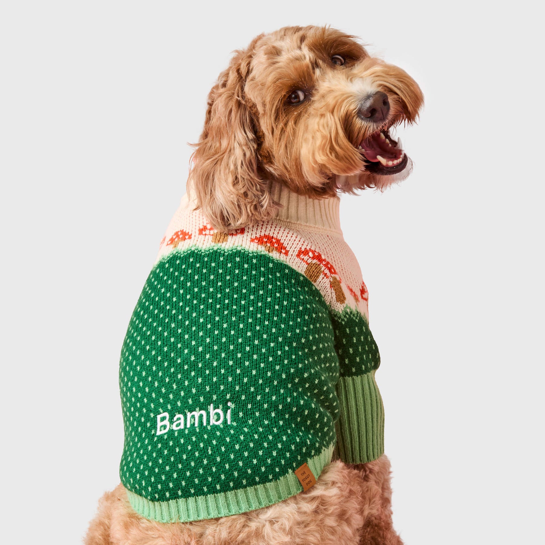 Foggy Dog - Dog Sweater Toadstool - Southern Agriculture 