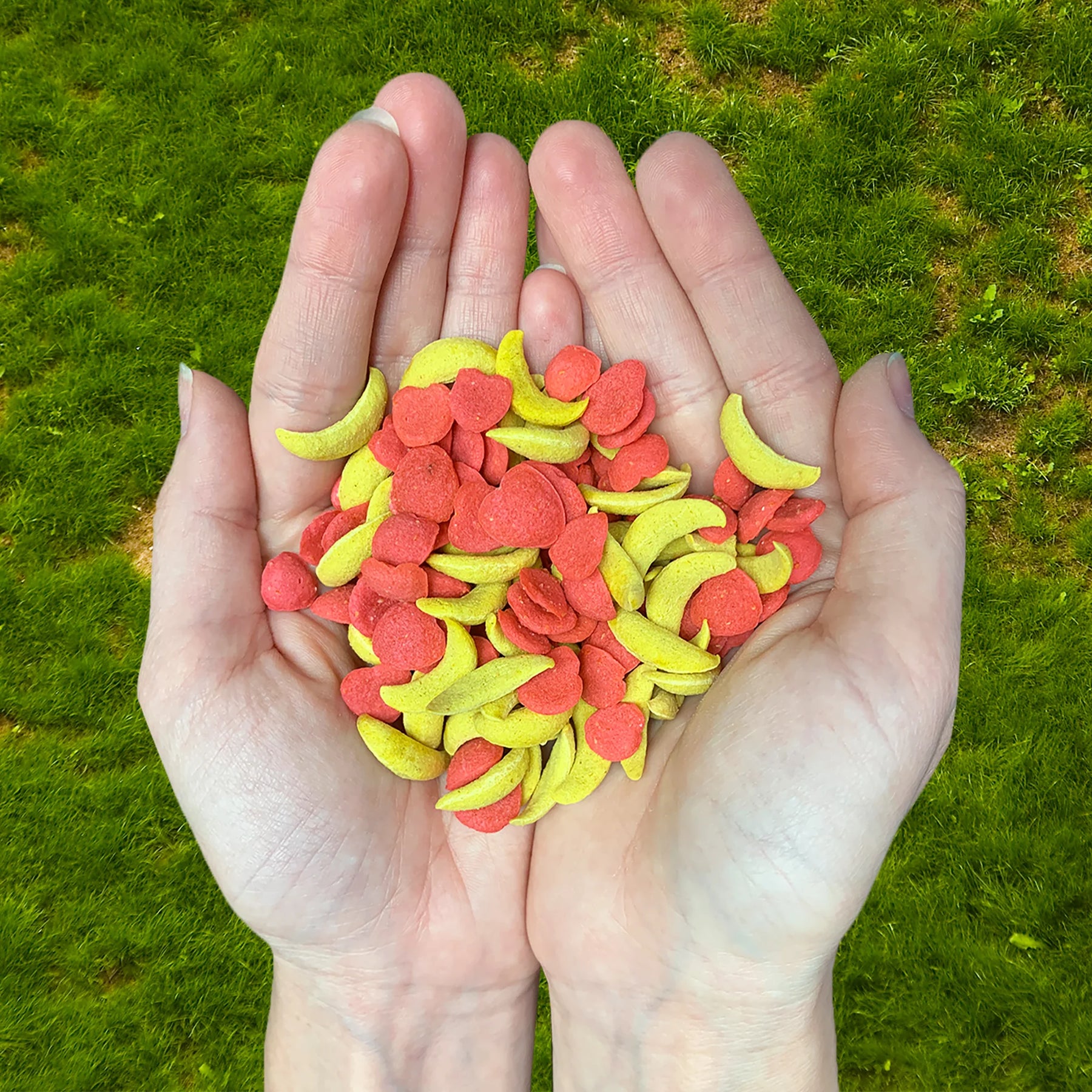 Exotic Nutrition - Crunchez Apple & Banana Recipe