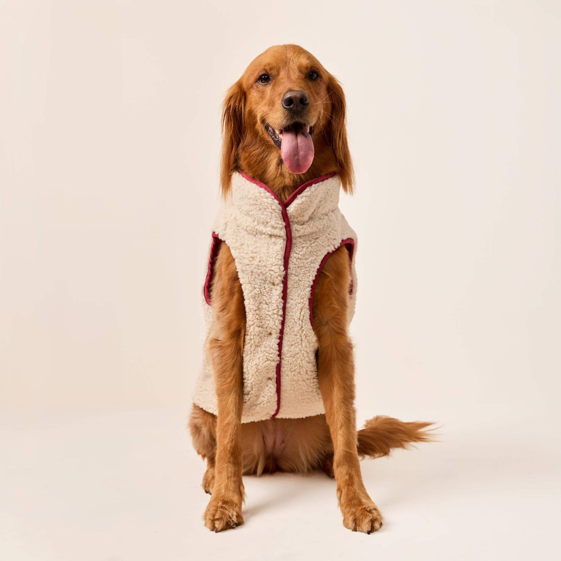 The Foggy Dog - Dog Jacket Currant Sherpa Lined Reversible