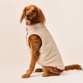 The Foggy Dog - Dog Jacket Currant Sherpa Lined Reversible