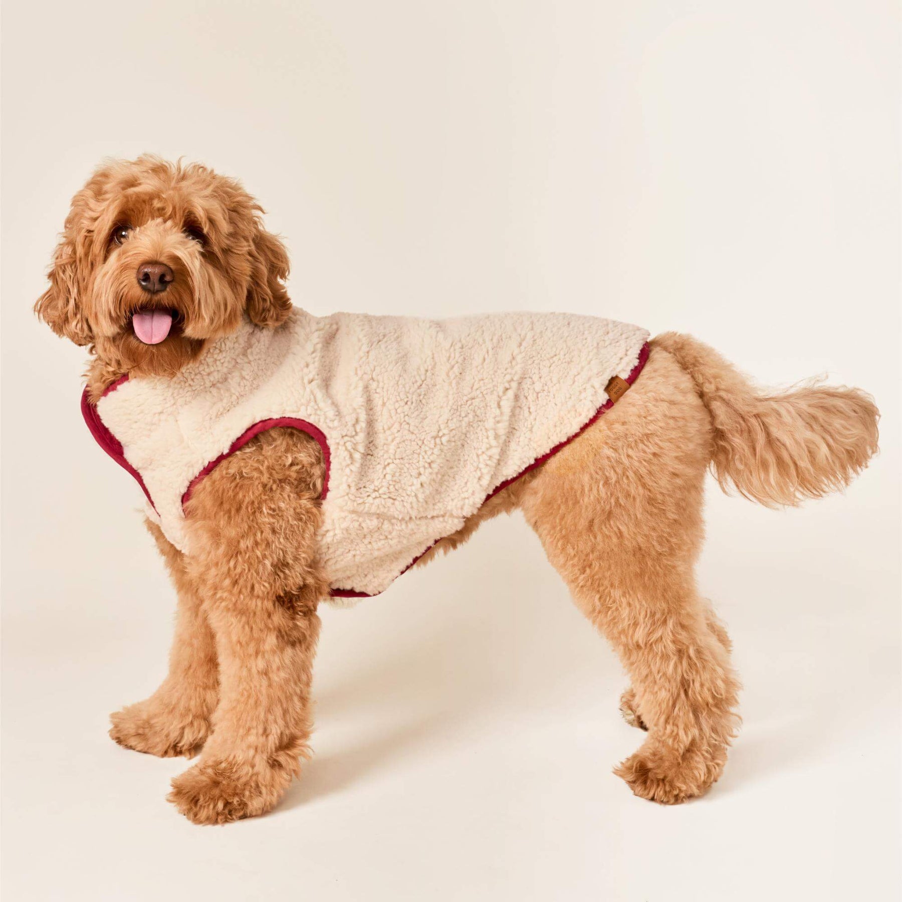 The Foggy Dog - Dog Jacket Currant Sherpa Lined Reversible