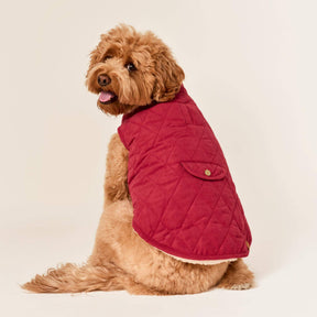The Foggy Dog - Dog Jacket Currant Sherpa Lined Reversible