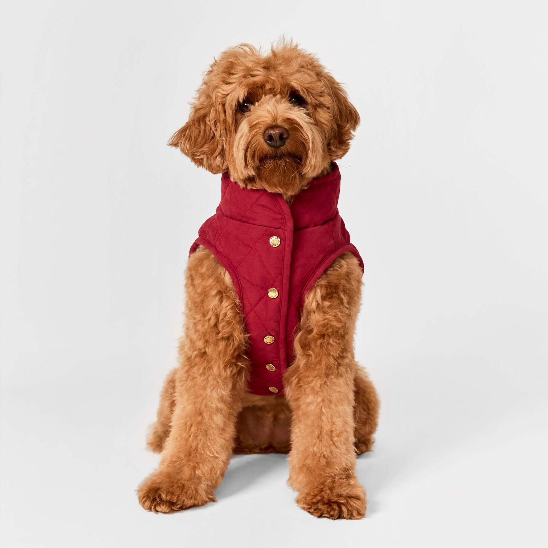 The Foggy Dog - Dog Jacket Currant Sherpa Lined Reversible