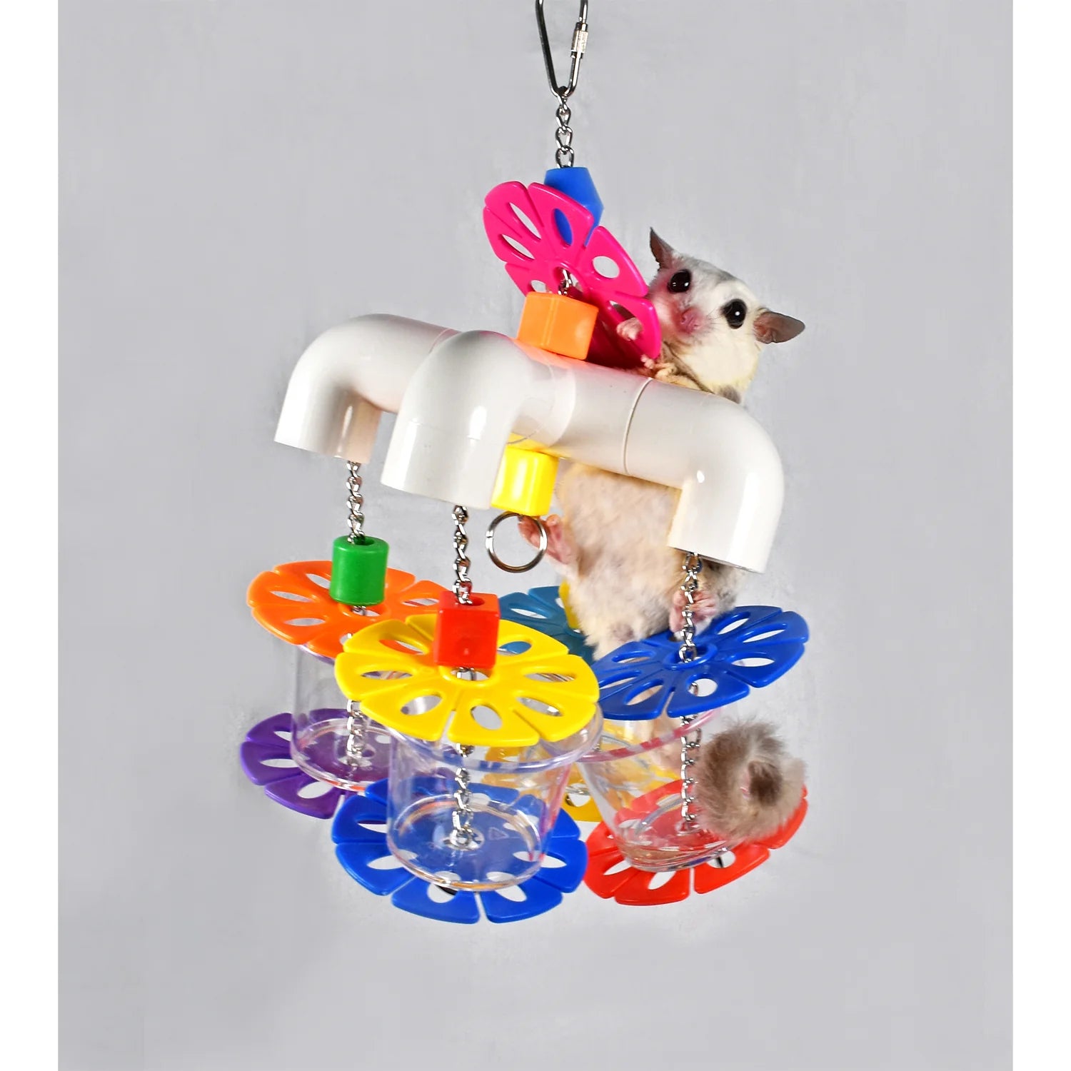 Exotic Nutrition - Jungle Forager