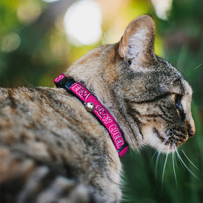 Buckle Down - Cat Collar Breakaway with Bell, Slay Queen