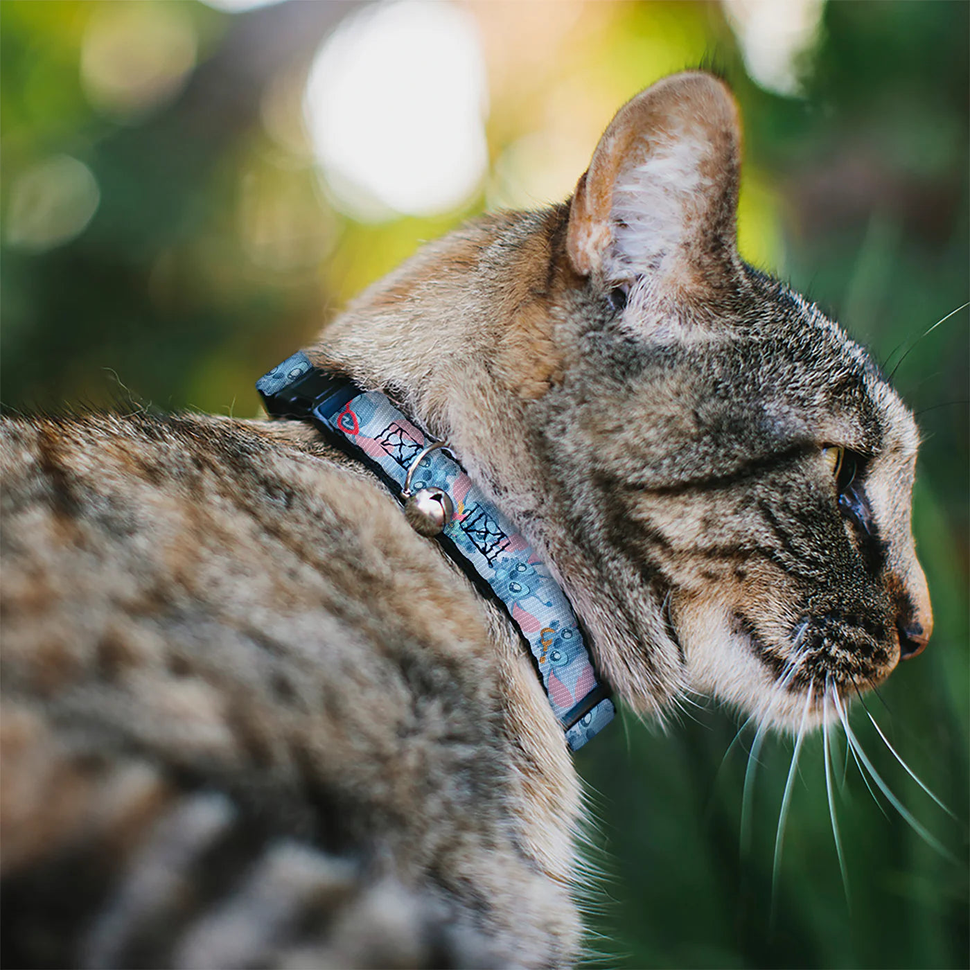 Buckle Down - Cat Collar Breakaway with Bell, Baby Stitch