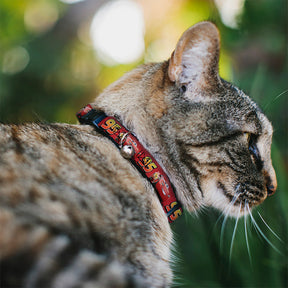 Buckle Down - Cat Collar Breakaway with Bell, Lightning McQueen
