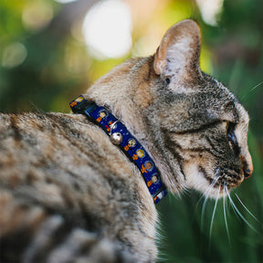 Buckle Down - Cat Collar Breakaway with Bell, Peanuts Gang Astro
