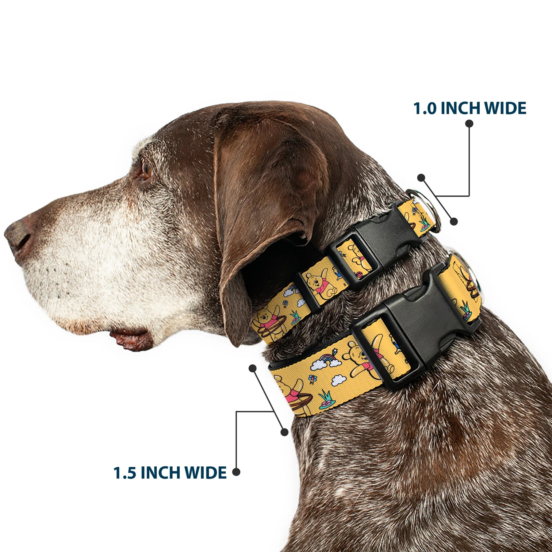 Buckle Down - Collar Nylon Adjustable Winnie Pooh