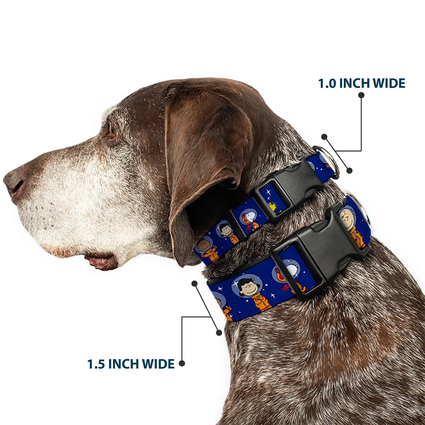 Buckle Down - Collar Nylon Adjustable Peanuts Gang