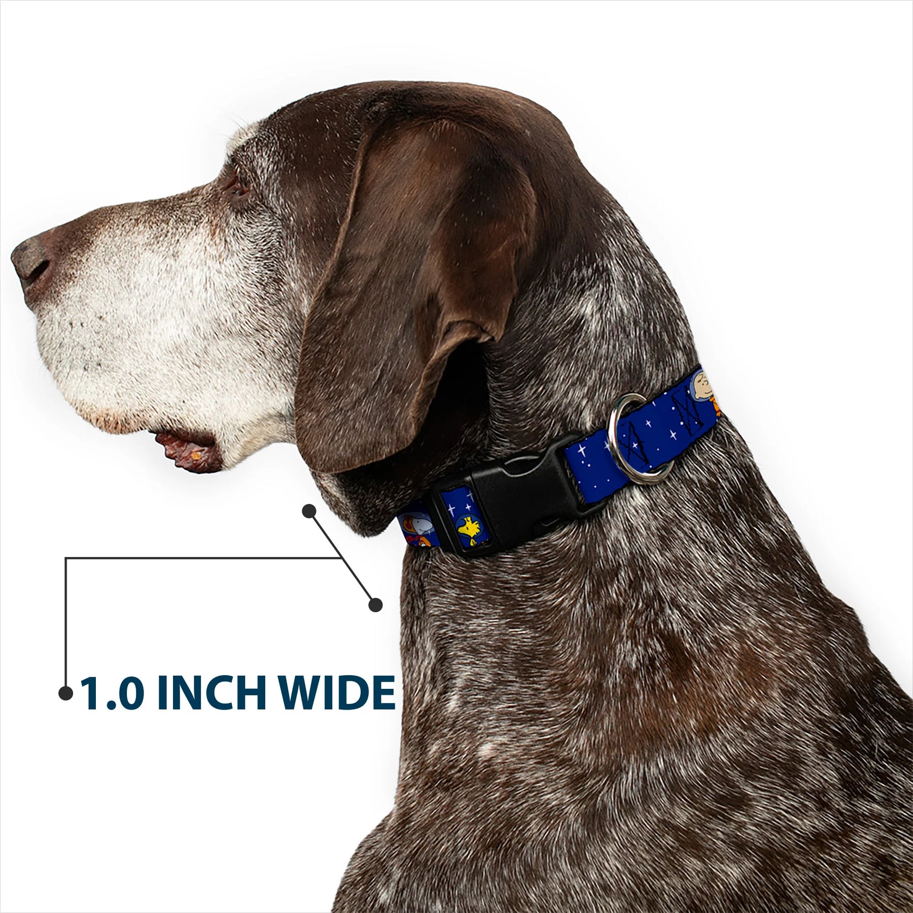 Buckle Down - Collar Nylon Adjustable Peanuts Gang