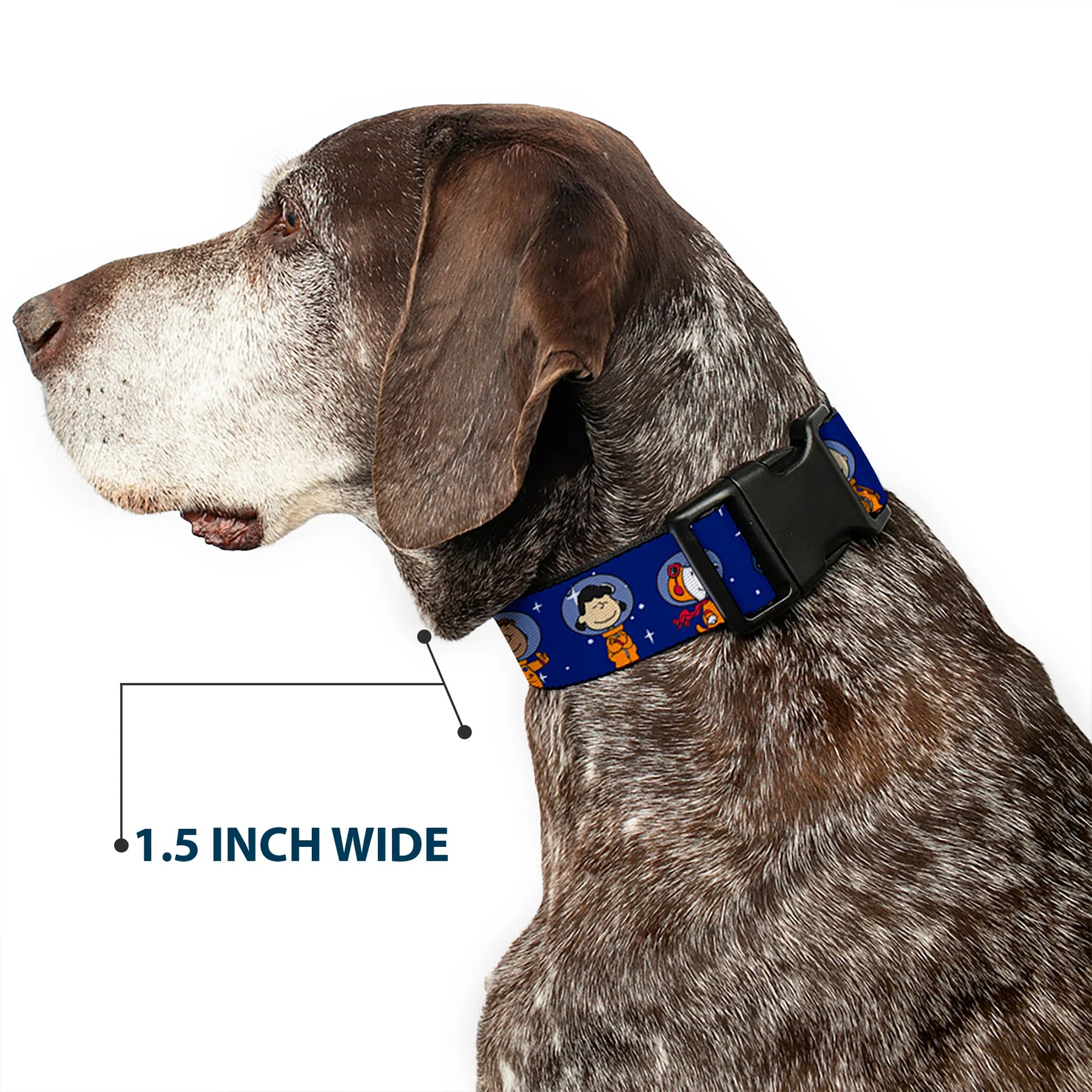 Buckle Down - Collar Nylon Adjustable Peanuts Gang