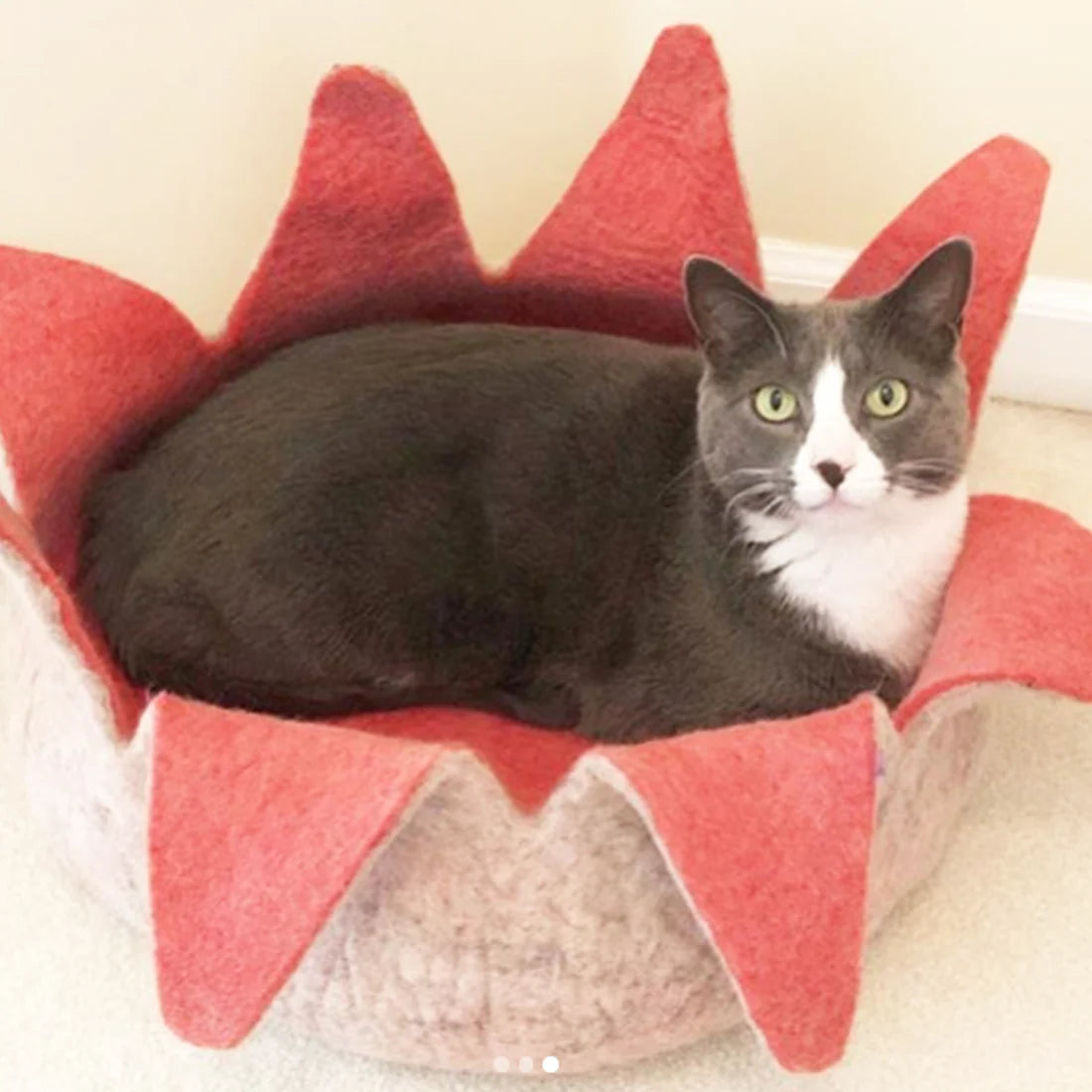 Dharma Dog Karma Cat - Rose Petal Basket