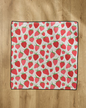 Geometry - Dog Towels