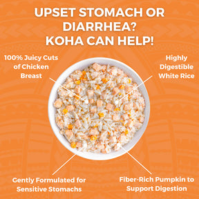 KOHA - Bland Diet Chicken & Rice Pouches Wet Dog Food 12.5 ounces