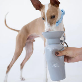 Springer - Classic Travel Bottle 22oz.