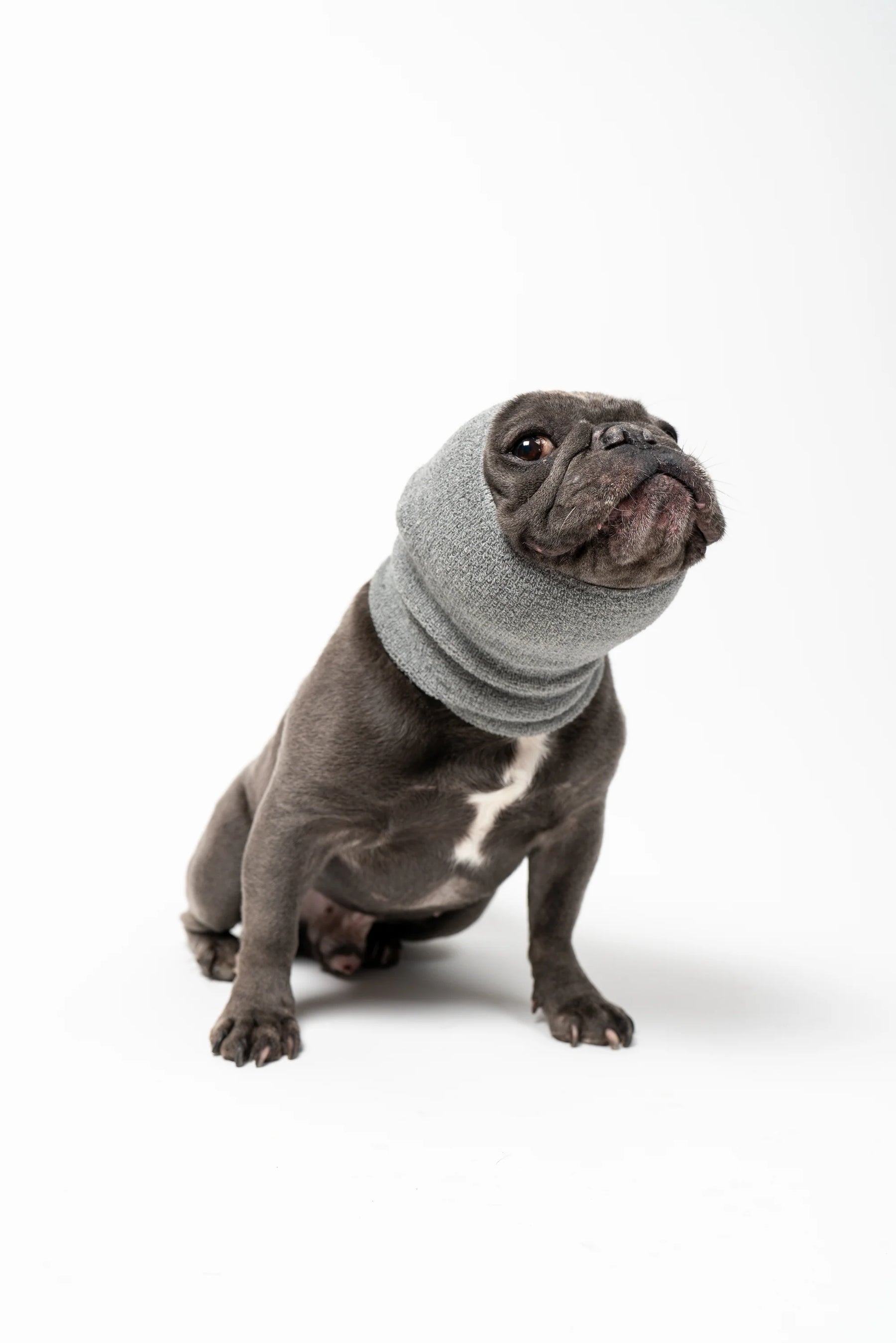 Pet Hoodz Dog Hoodies for Anxiety