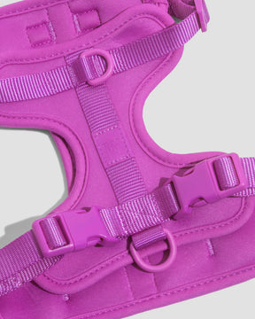 Wild One - Dog Harness Adjustable Comfort Orchid