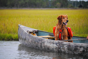 Bark Brite - Backpack Life Jacket