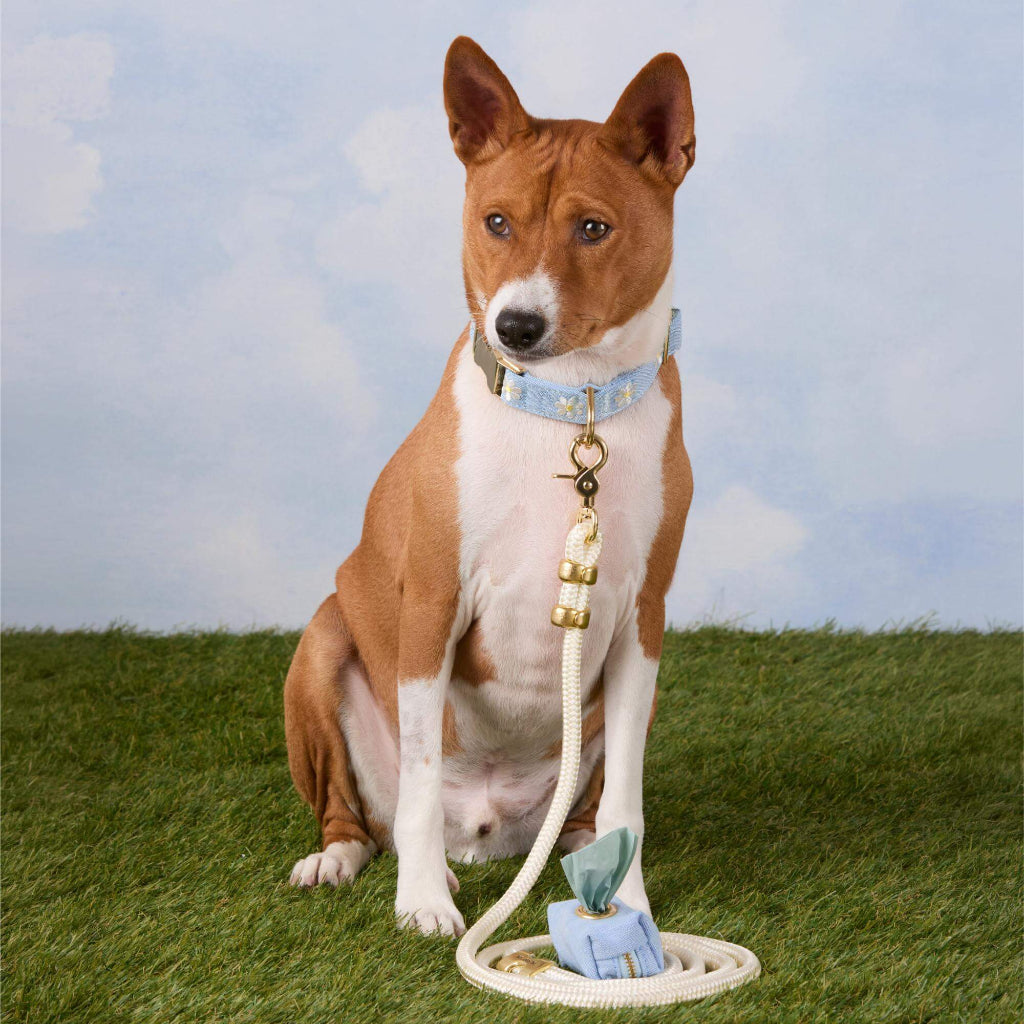 Foggy Dog - Waste Bag Dispenser Blue
