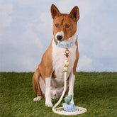 Foggy Dog - Waste Bag Dispenser Blue