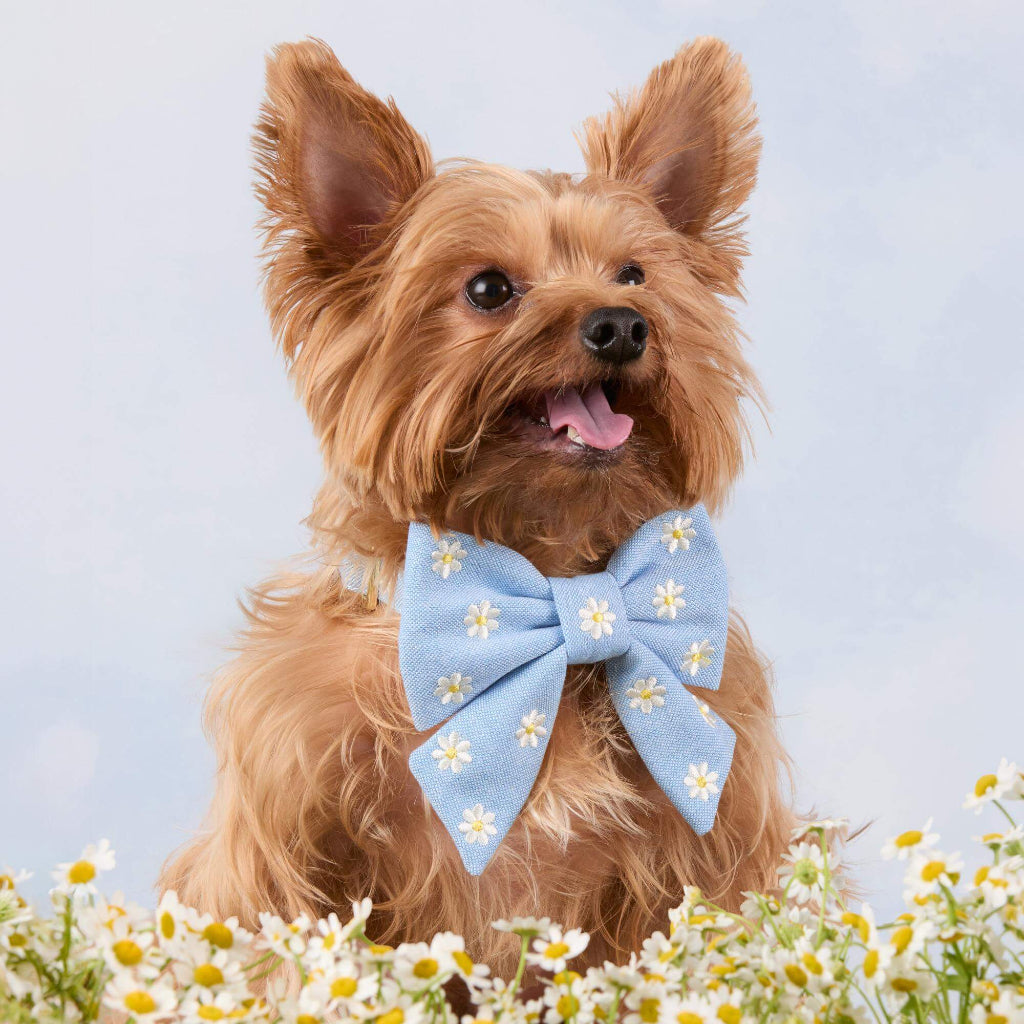 Foggy Dog - Dog Bow Lady Daisy Embroidered
