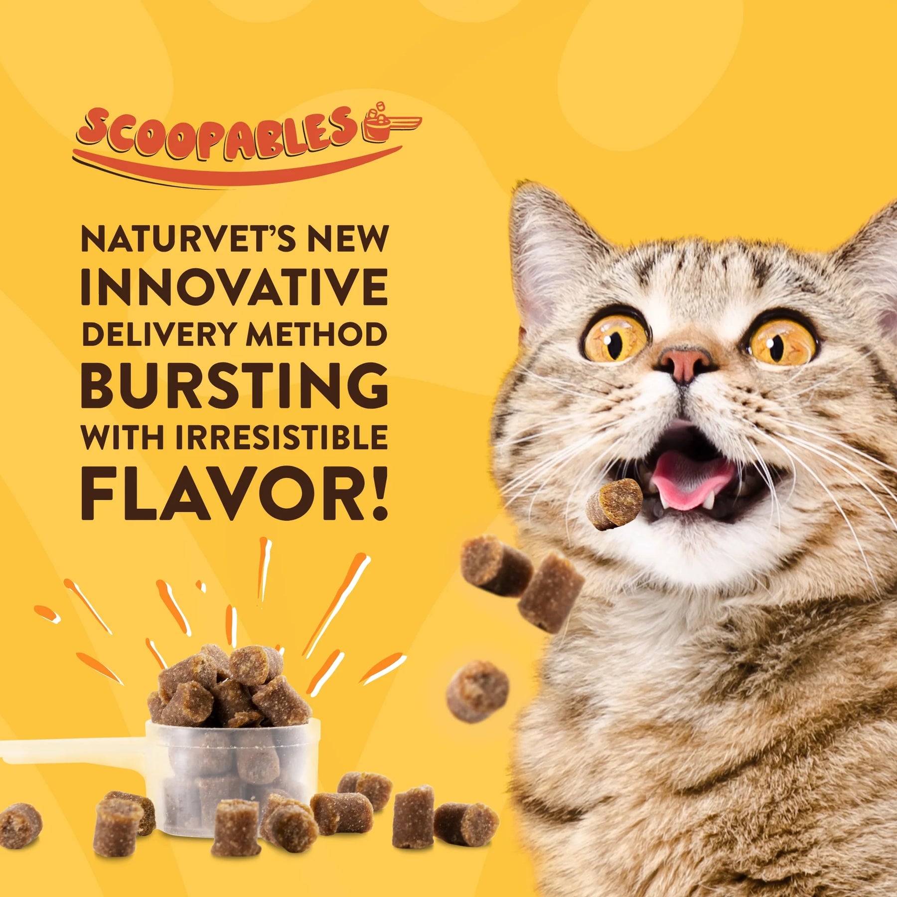 NaturVet - Scoopables Digestive Enzymes Daily Support Pre & Probiotic for Cats