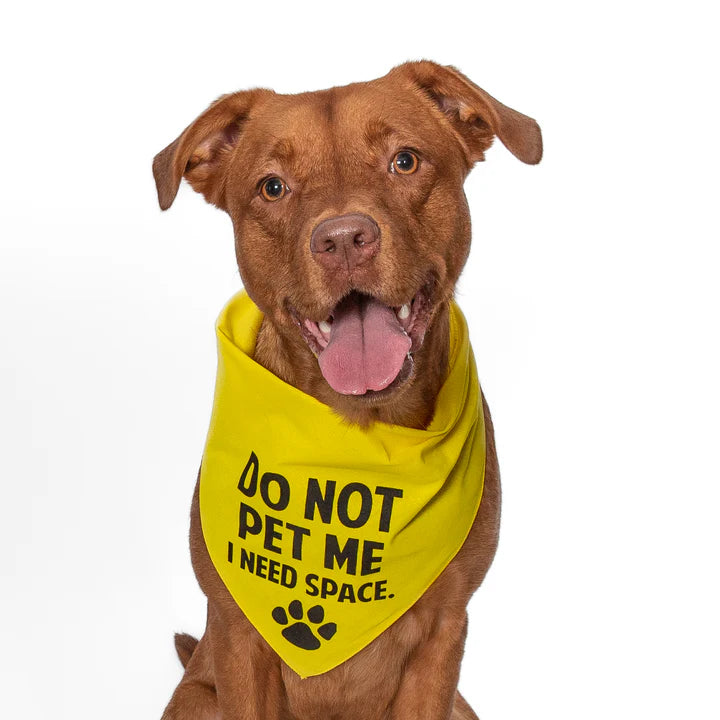 FunDog Bandanas - Dog Bandana Do Not Pet Me I Need Space