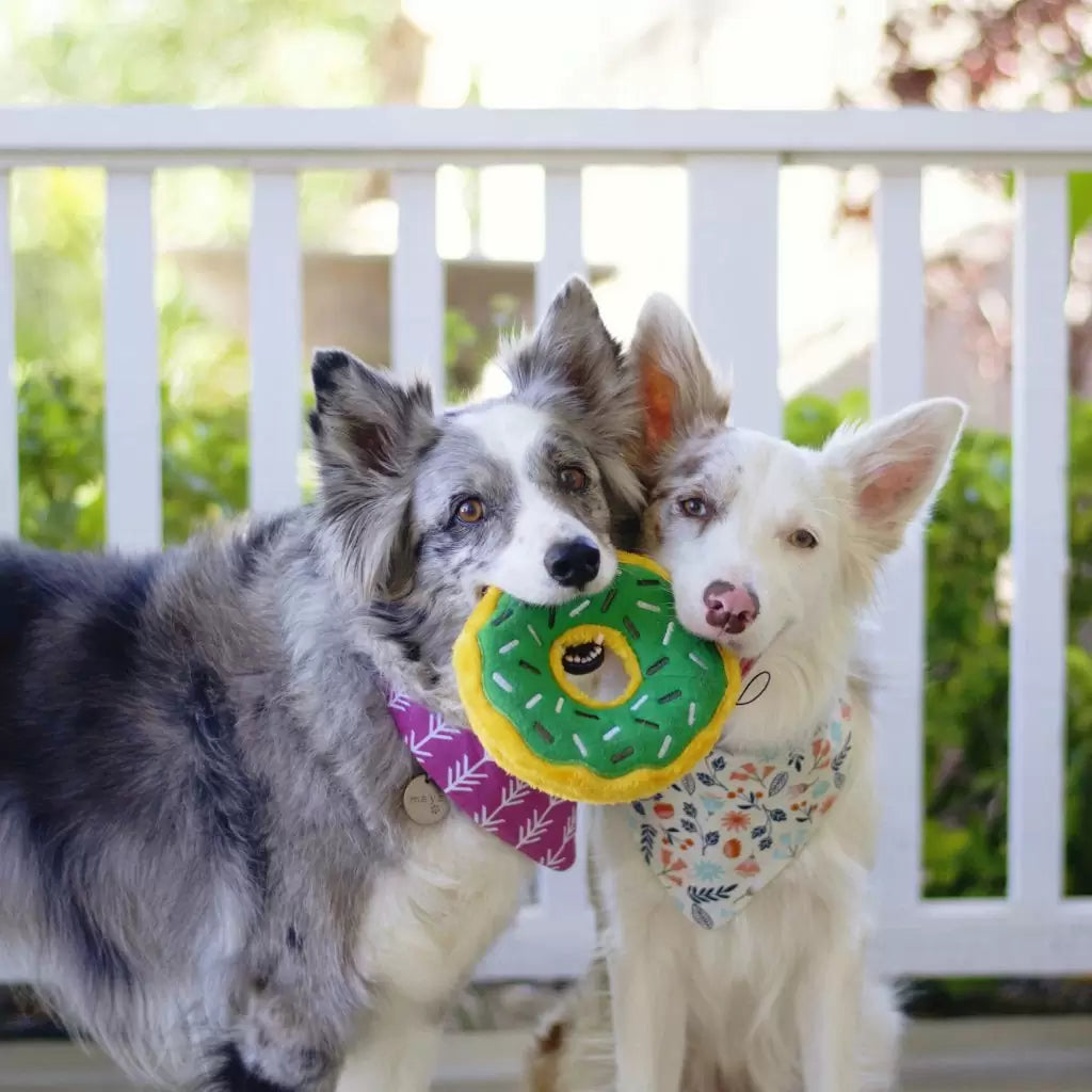 ZippyPaws - Donutz Mint Chip Dog Toy