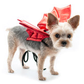 Dogo Pet - Dragon Wings Costume (Red)