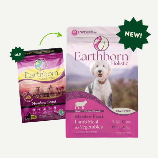 Earthborn Holistic - All Breeds, Adult Dog Meadow Feast Recipe Dry Dog Food
