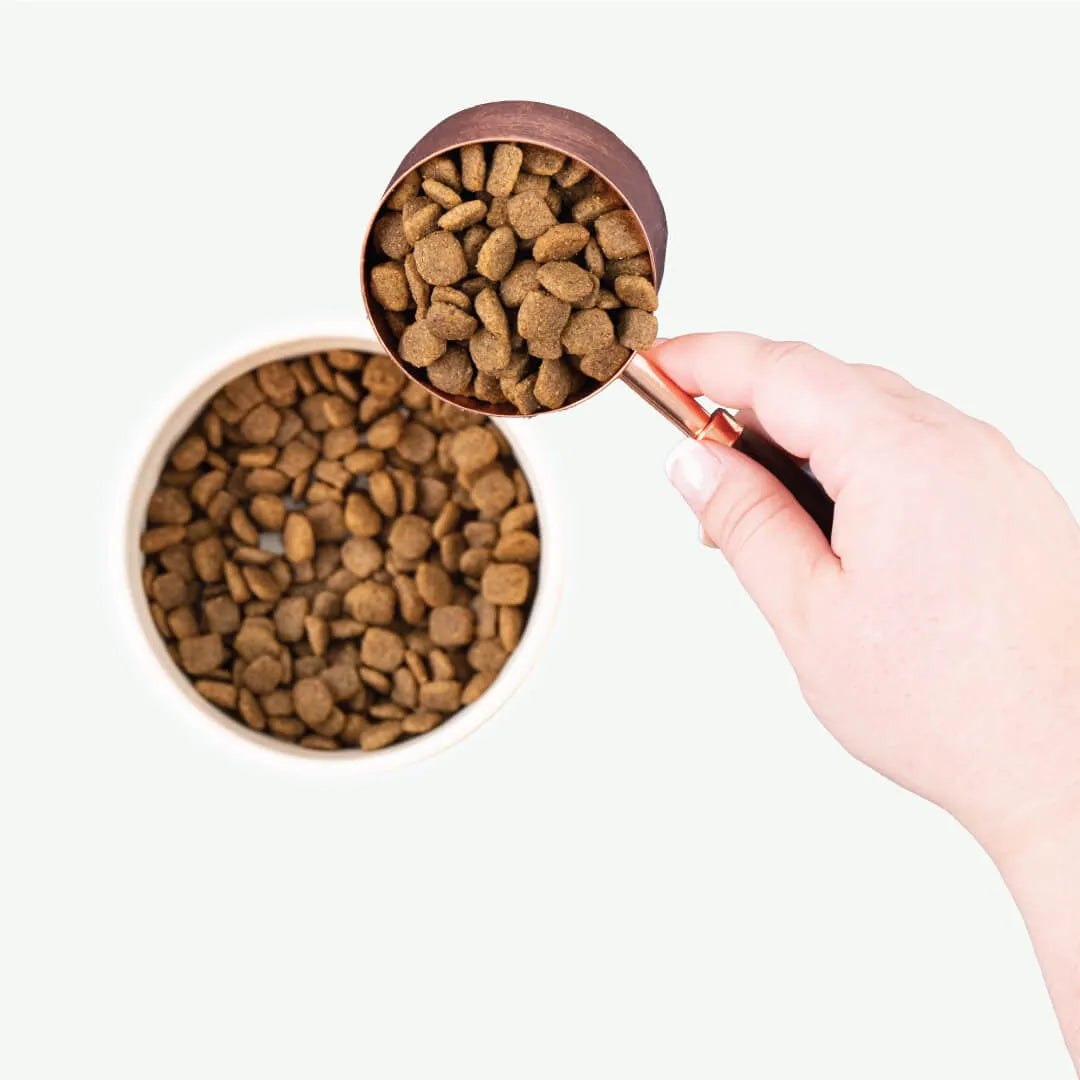 Earthborn Holistic - Coastal Catch Grain Free Dry Dog Food