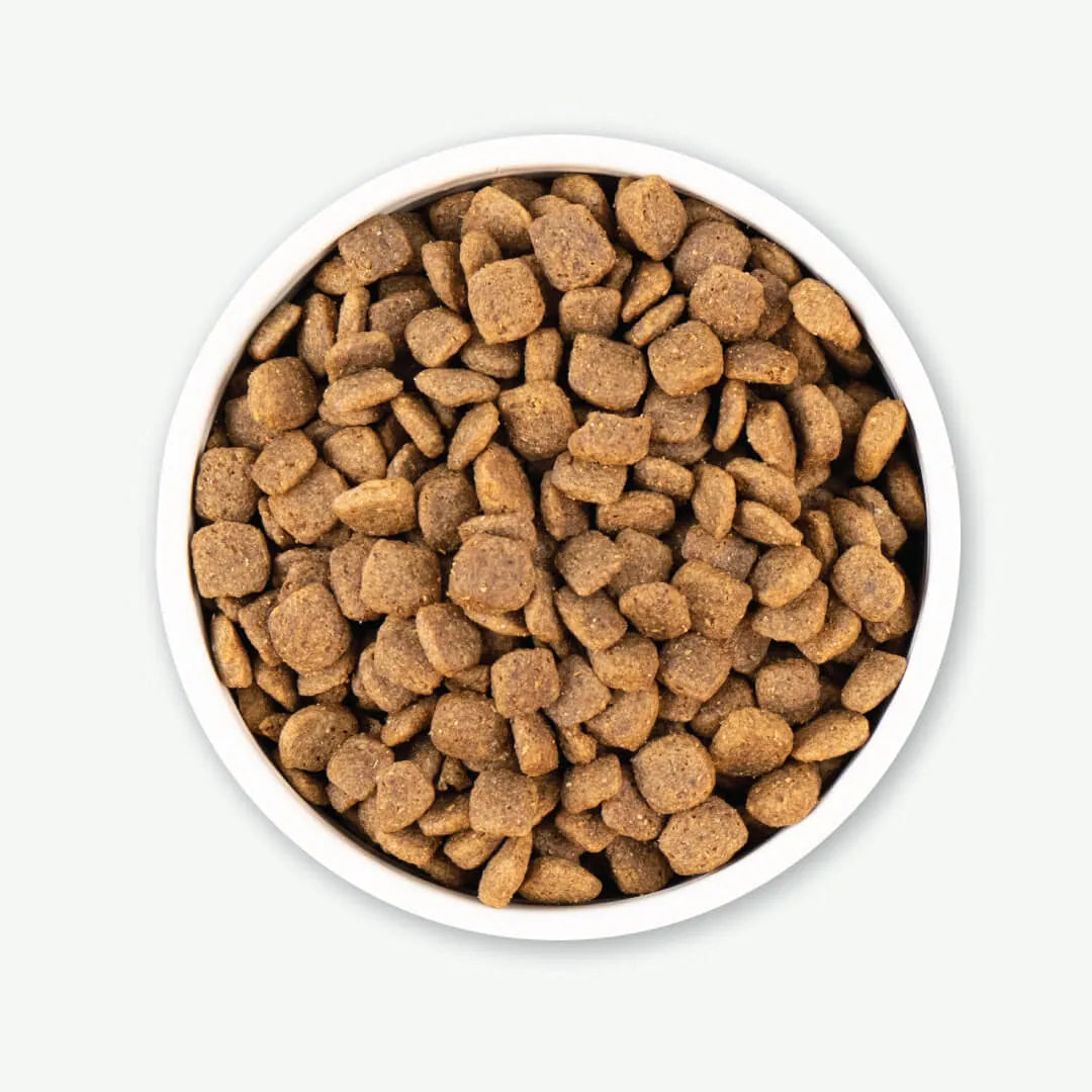 Earthborn Holistic - Coastal Catch Grain Free Dry Dog Food