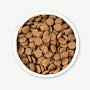 Earthborn Holistic - All Breeds, Adult Dog Great Plains Feast Recipe Dry Dog Food
